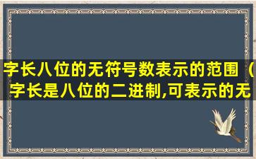 字长八位的无符号数表示的范围（字长是八位的二进制,可表示的无符号整数范围是( )）